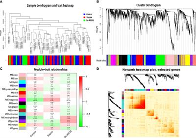 Integrated Analysis of Gene Co-Expression Network and Prediction Model Indicates Immune-Related Roles of the Identified Biomarkers in Sepsis and Sepsis-Induced Acute Respiratory Distress Syndrome